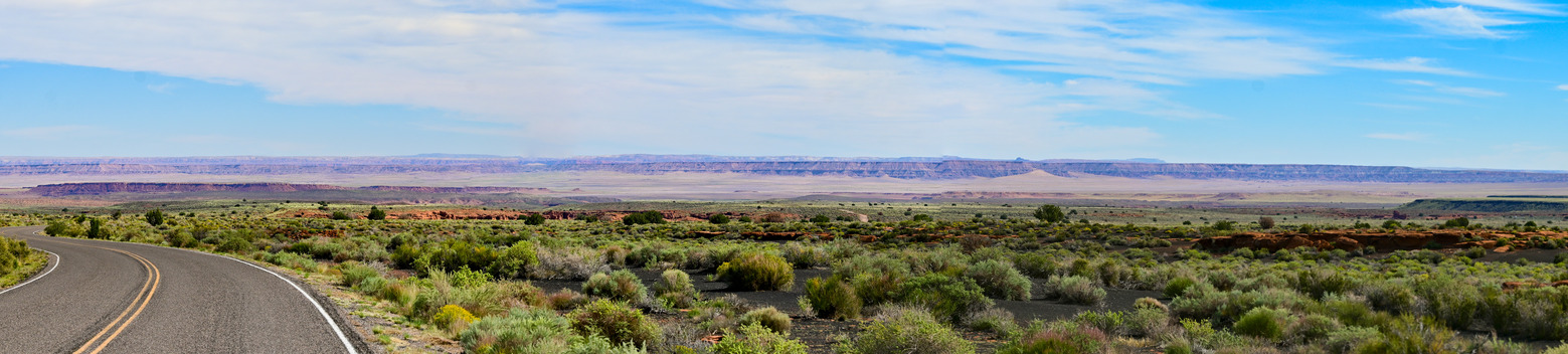 A colorful desert landscape stretches across the horizon with a road and green shrubs and grasses in the foreground. 