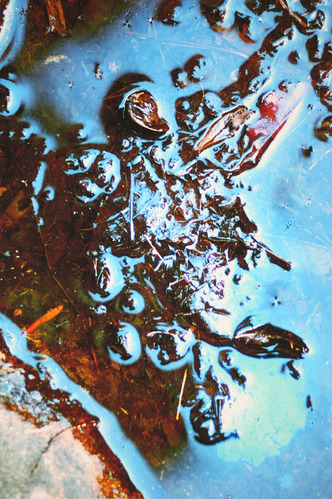 Chip Irvine, 2013 Catoctin Mountain Artist-in-Residence