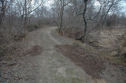 Repair and Stabilize Kenilworth Park Trail System