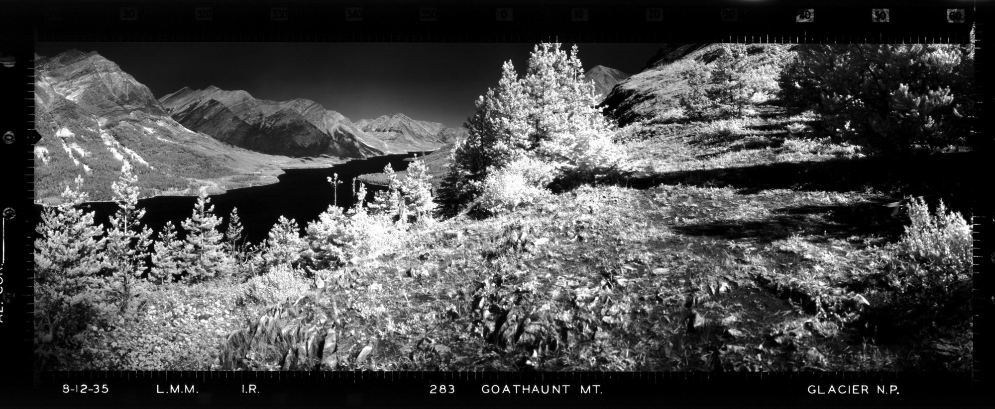Infrared image of vegetation on slope with mountains in the distance and body of water in the valley.