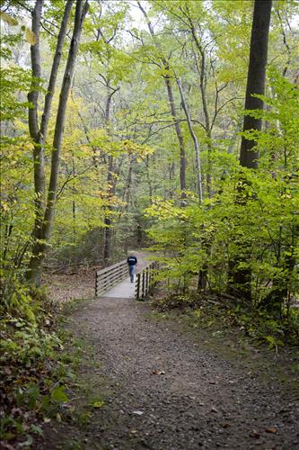 Fall hiker on Boston Run Trail