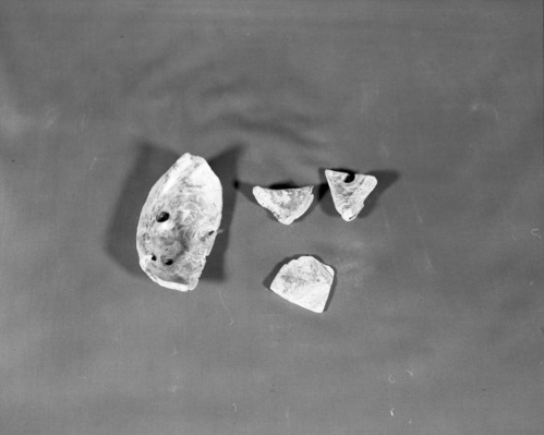 Private Collection. Object: Miwok abalone shell pieces. Dimensions: largest 4 1/2 x 4", smallest 2 1/2 x 2" two are pentagonal, rest rectangular. Technology: 10 intact pendants, one fragment of finished pendant, & remainder 16 pieces of abalone shell, most of which show cut marks and grinding, including hinge fragment apparently waste material from manufacture of pendants on site. Found with pieces of "iron-stone" ware. Collection History: Found while plowing sometime between 1900 and 1915 near Curtis or Blanket Creek. Photographed by Michael Dixon. Catalogued by Craig Bates and Barbara Beroza. Yosemite Collections, National Park Service.