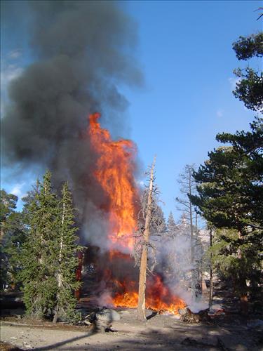 Hot Springs wildfire, Sequoia and Kings Canyon National Parks, summer 2004