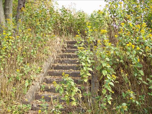 FOWA-Existing Conditions at Fort Washington Park, October 15, 2008