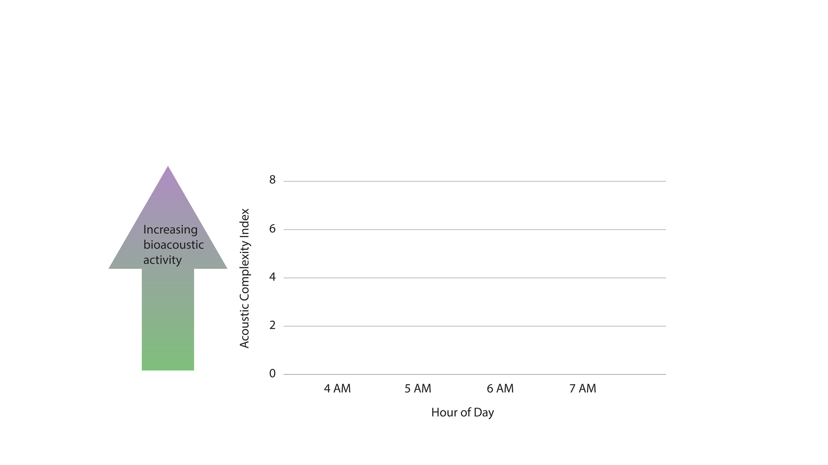 The acoustic complexity graph has an x and a y axis. The x axis shows the hour of day and contains four hours of data including 4AM, 5AM, 6AM, and 7AM.  The y axis shows the acoustic complexity index, a measure of bioacoustic activity. This particular graph shows an acoustic complexity index of 3.7 at 4AM, 7.8 at 5AM, 7.4 at 6AM, and 7.1 at 7AM.  A text box on the graph asks the question: why is there less bioacoustic activity at 4AM?