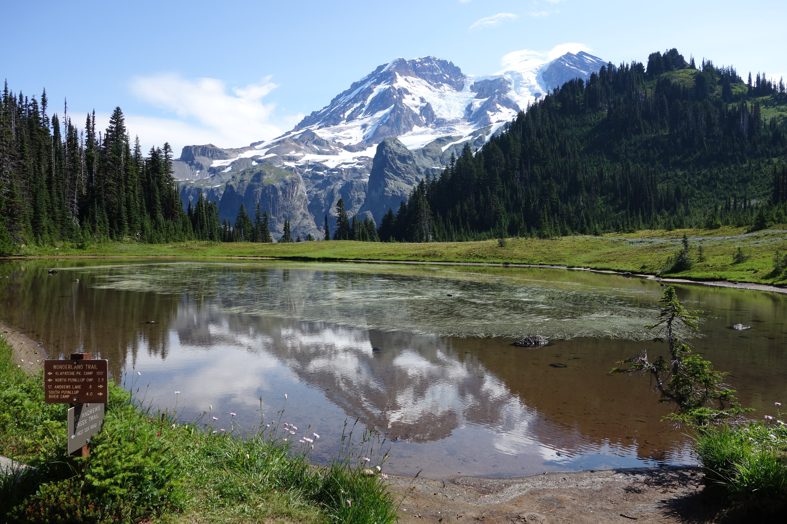 A still mountain lake reflects a view of Mount Rainier. A trail sign is planted on the lake's shore. 