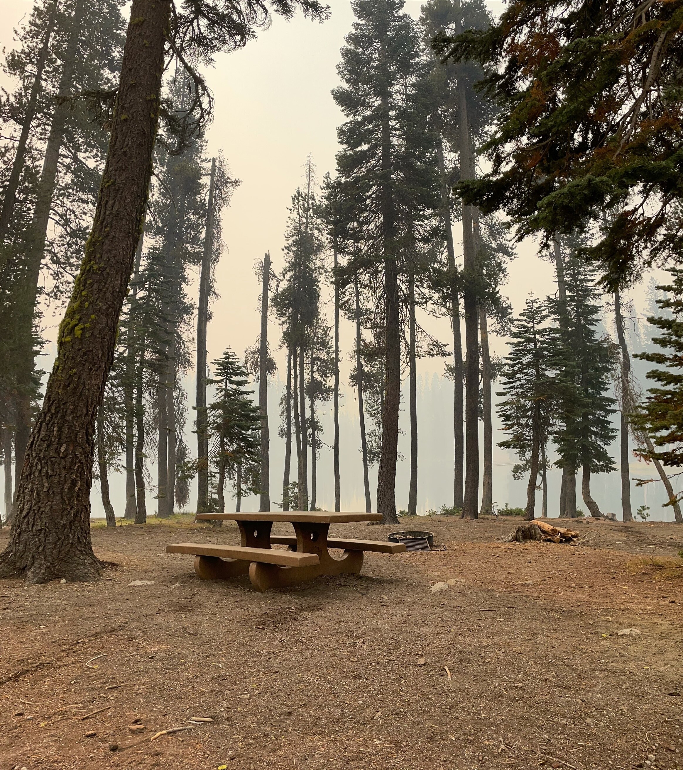 A picnic table and fire pit and surrounding conifer trees remain intact with smoke from the Dixie Fire fin the background.