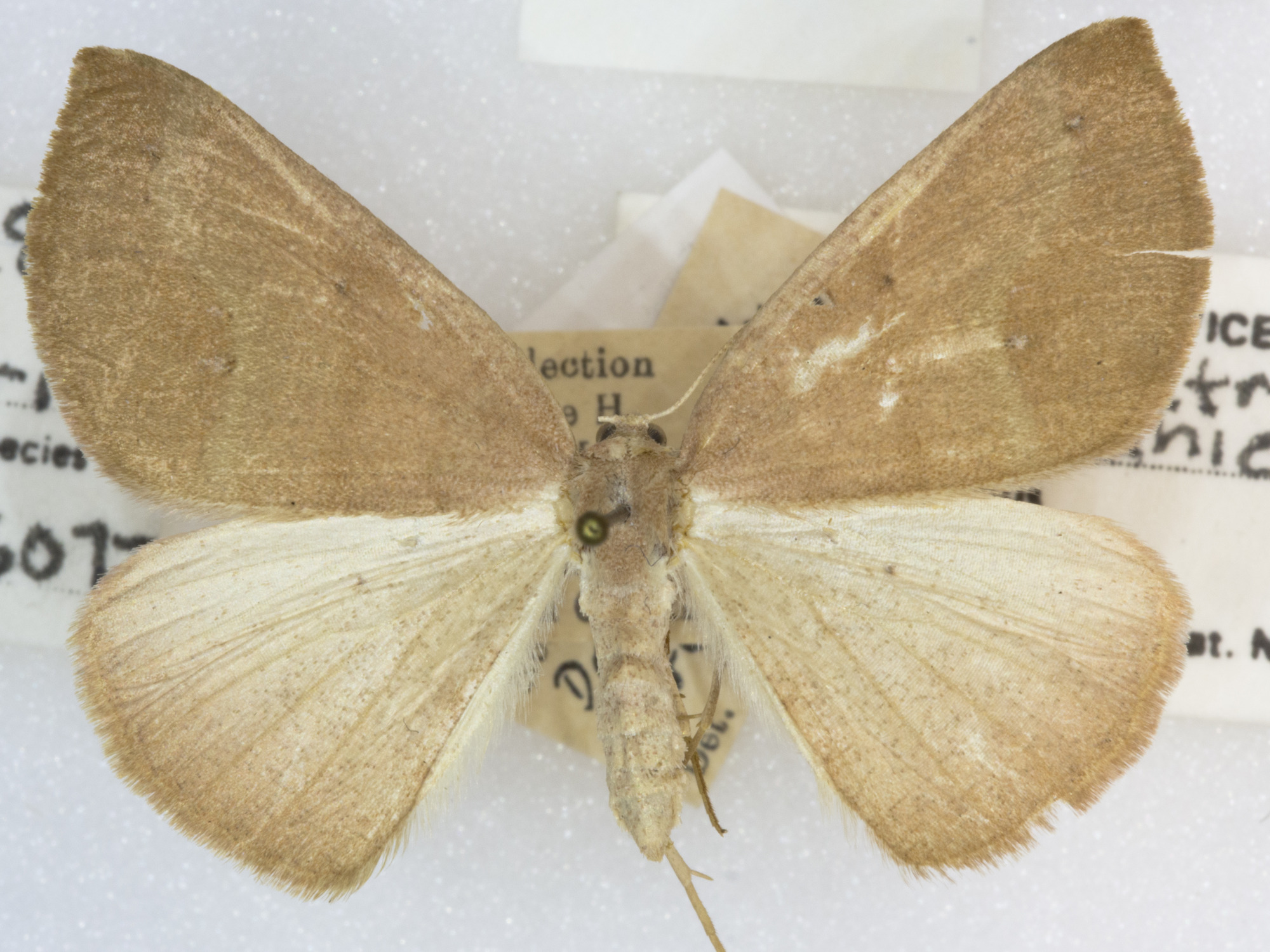 Grand Canyon Museum Collection
Address: 2 Albright Ave, Grand Canyon Village, AZ 86023
Phone: (928) 638-7769
https://www.nps.gov/common/utilities/sendmail/sendemail.cfm?o=6CB7F89AA2FEBAAF91AE1E90DA18A7A1439E528653B8AC914F0CE08011C0&r=/grca/learn/historyculture/muscol.htm