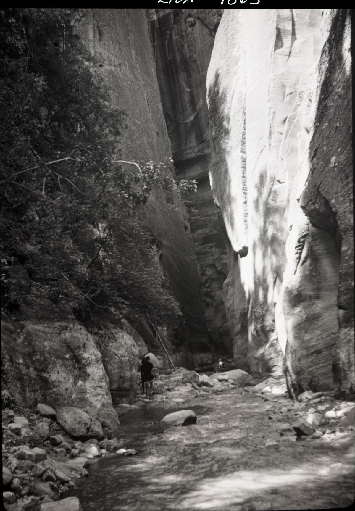 Zion Narrows.