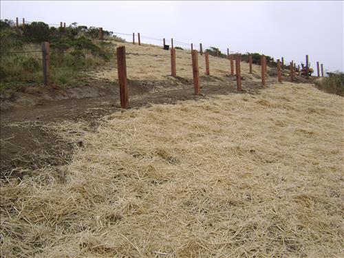 Rec Fee Project: Dias Ridge Trail