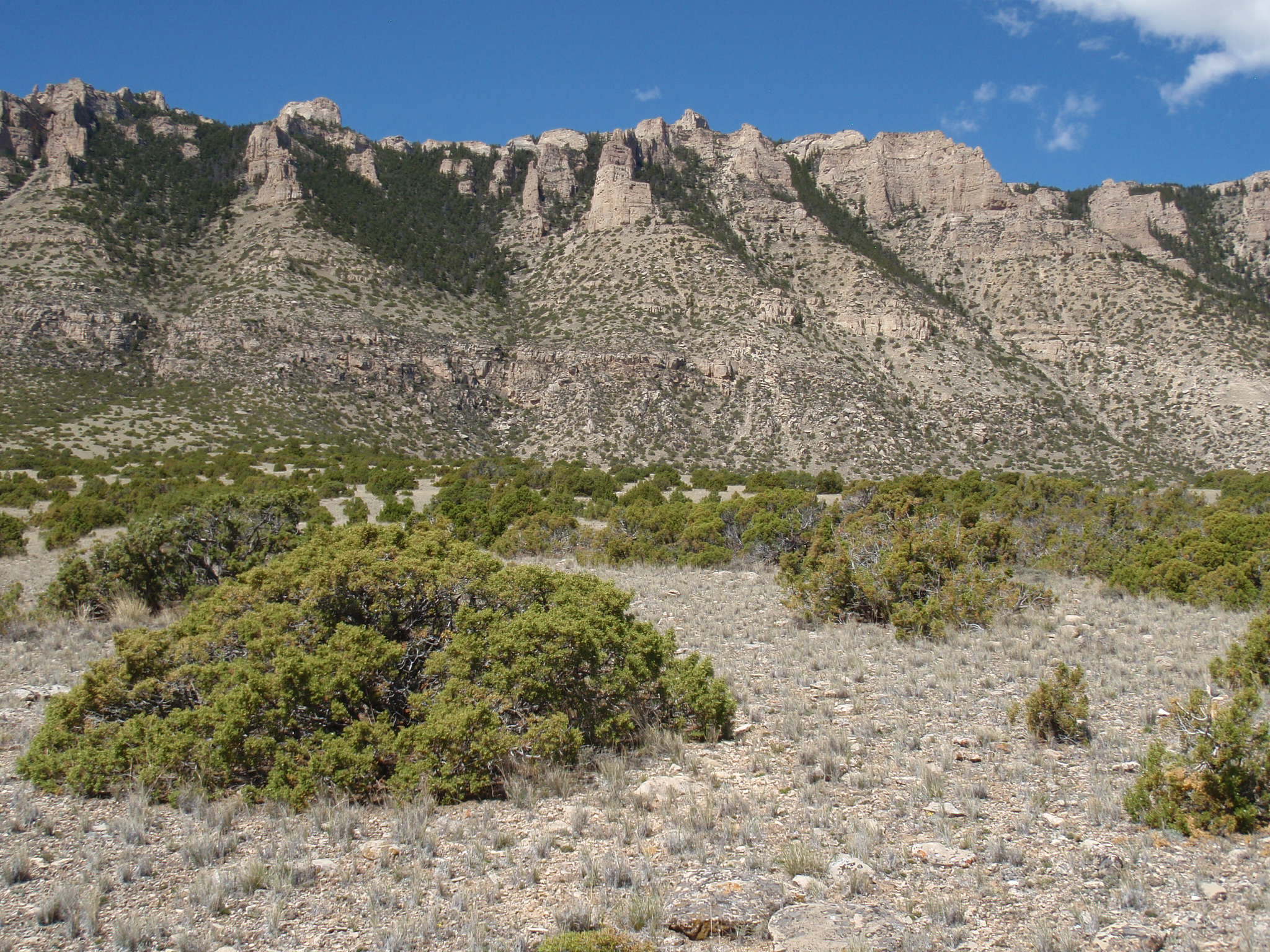 Image of the vegetation and landscape at photo point in Bighorn Canyon NRA 