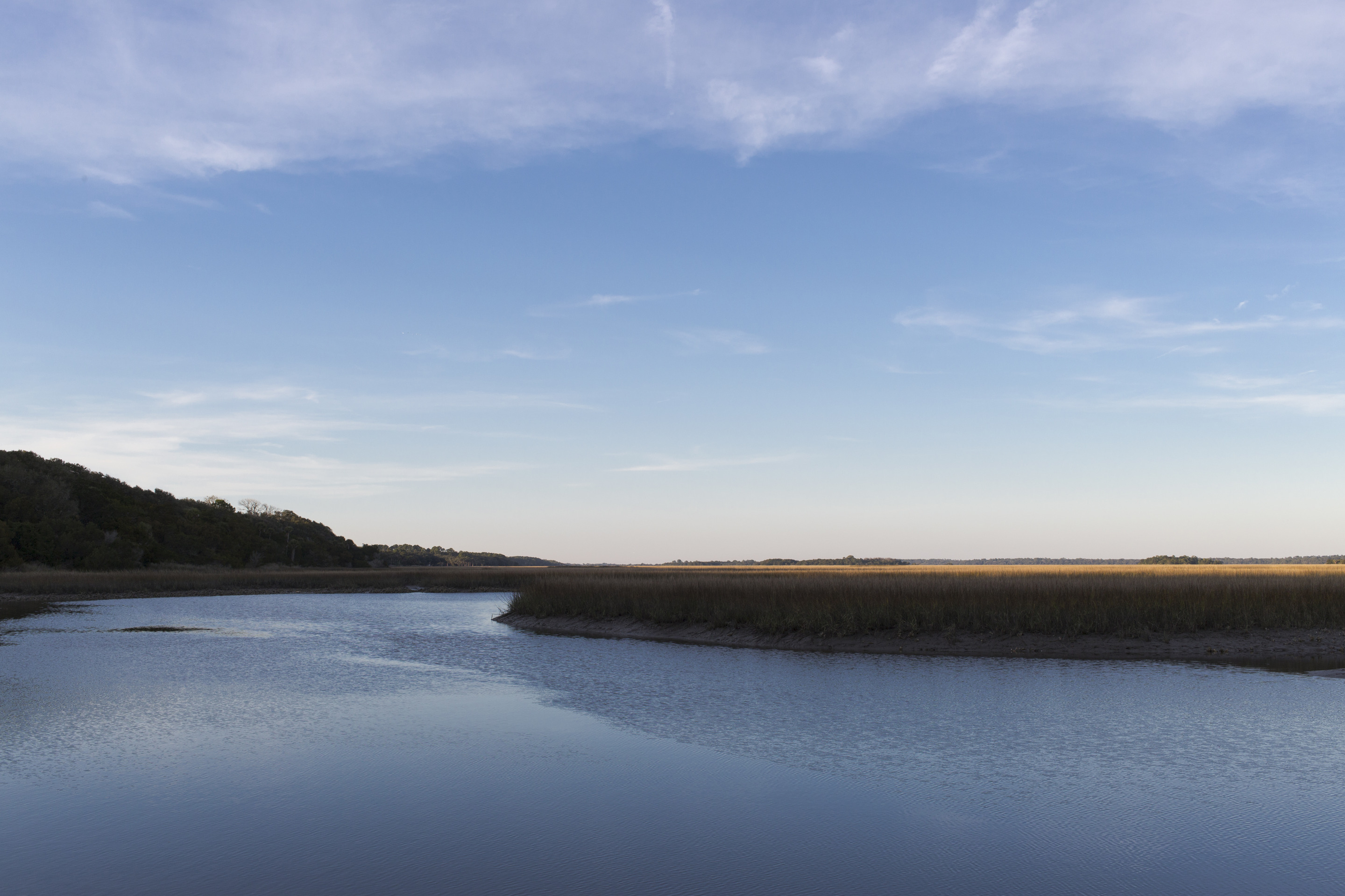 morning sun on a brown marsh