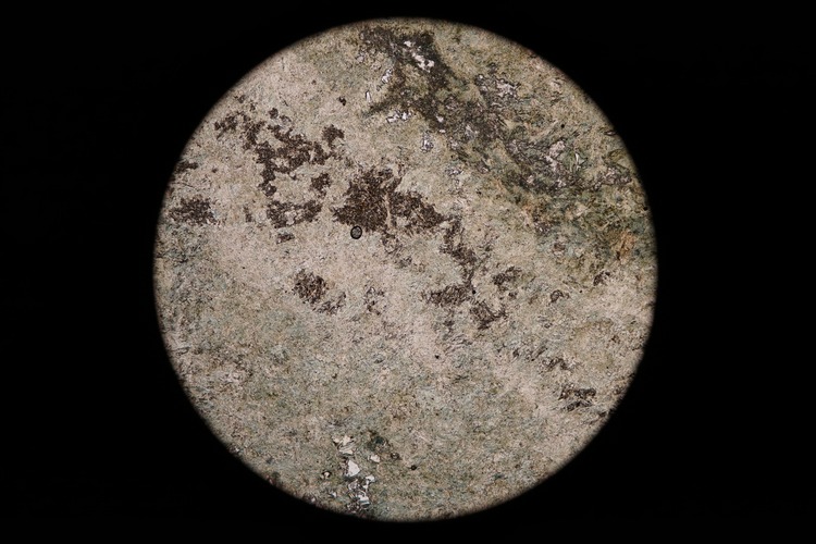 Circular microscopic image of rock structure.