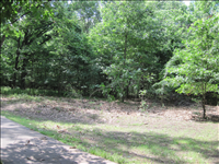 Exotic Plant Management Project at Arkansas Post National Memorial in summer 2011. Features before and after images of work completed during the exotic plant management project.  Also features some of the Youth Conservation Corps and Biological Technicians at work.