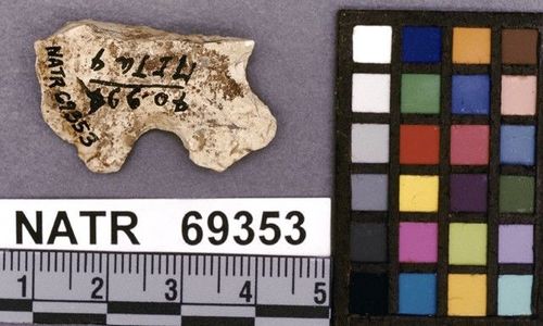 NATR   69353 -- Untyped projectile point