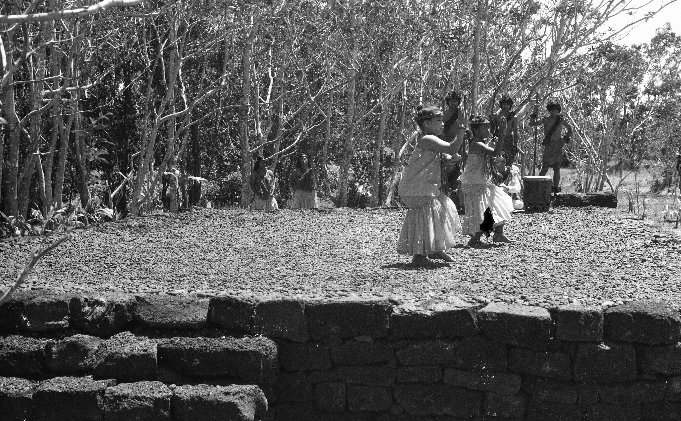 A black and white image of young girls performing on a raised platform. The raised platform is covered in pebbles and is bordered by a rock retaining wall. On the bottom right side of the image there are rock stairs leading to the top of the platform. The children performing are standing side by side towards the center right side of the image. They are facing the left side of the image. The girls are wearing a headband, lei, a tube top, a bracelet on each of their wrists, and a skirt. They are holding their right arm straight across their chests while their left arm is bent with their fingertips pointing towards the sky. Their right foot is slightly raised. Behind the girls there is a drum and a woman to the left of it playing a gourd. Behind the woman there are three men dressed similarly. Each of them is wearing a headband, a sash, a bracelet on each of their wrists, a malo, and anklets around each of their feet. The men are holding a walking stick in their right hand.