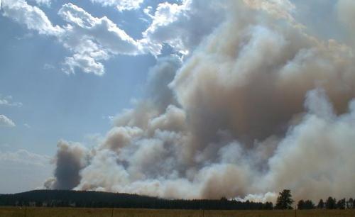 Jasper Fire, Jewel Cave National Monument, August 2000