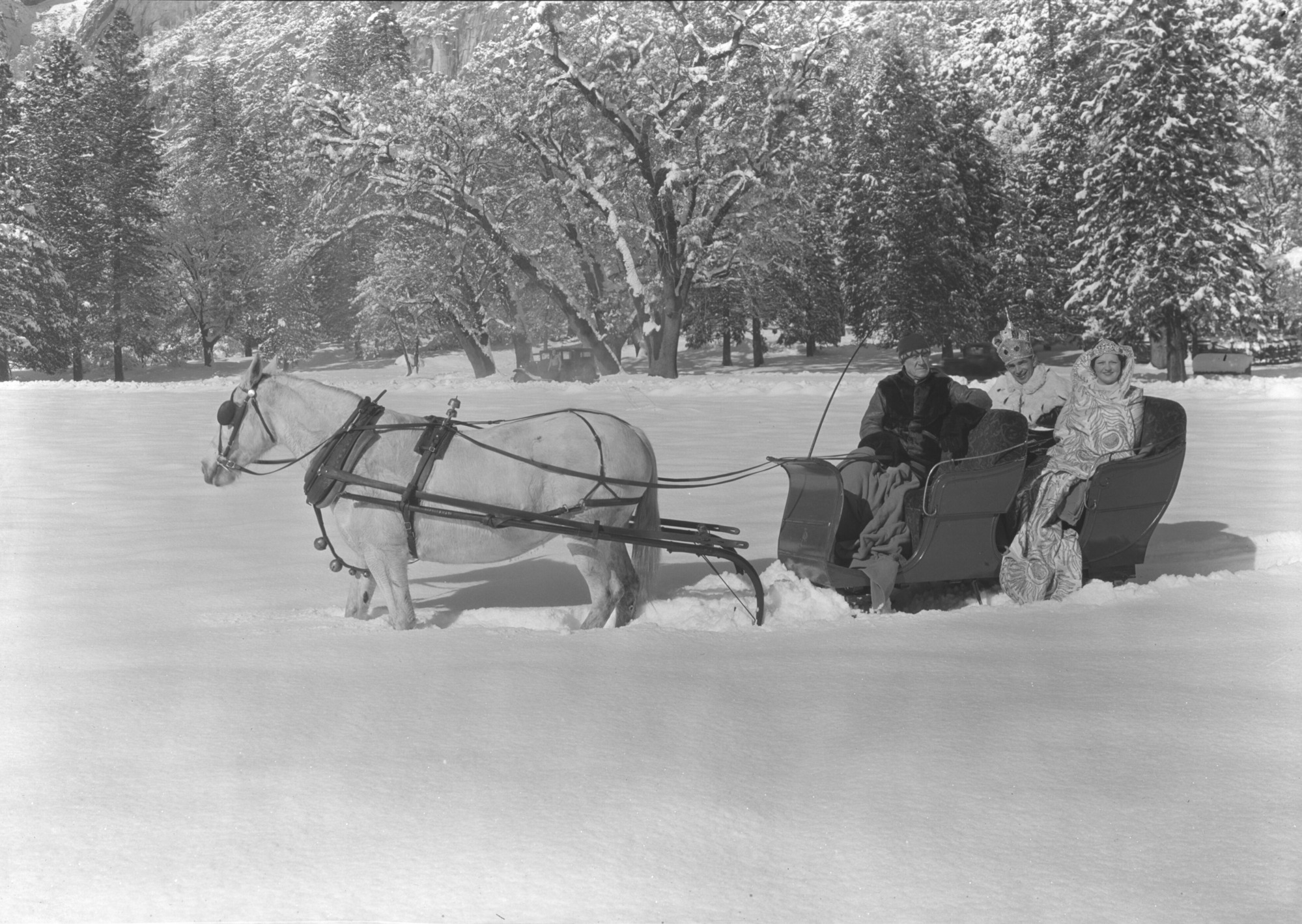 King and Queen in sleigh on a meadow on Snow Day.