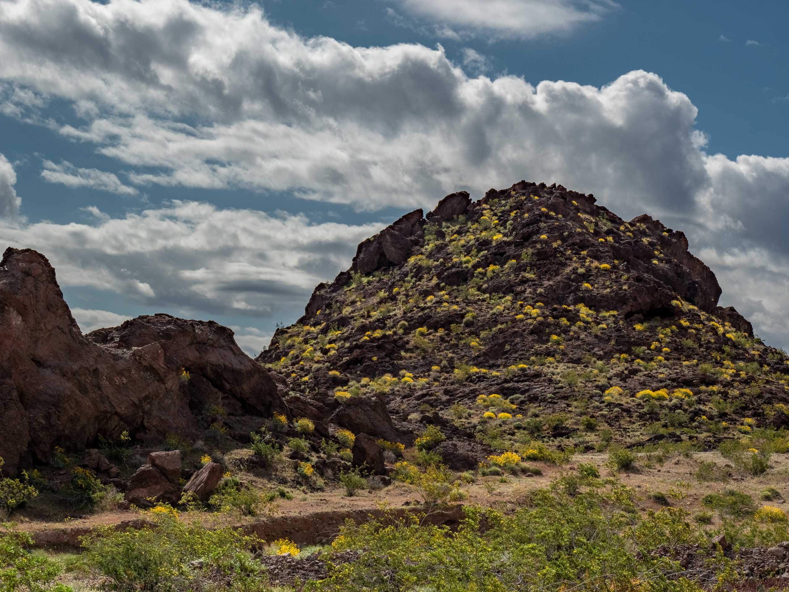 large rocky hill covered with yellow wildflowers, cloudy sky above
