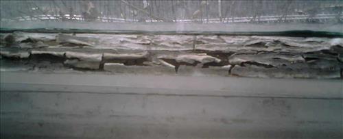 Wood window components at Old Courthouse Requiring Painting Contract May 2007