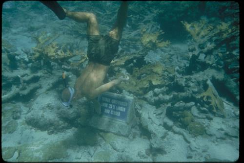 Buck Island Reef National Monument, Virgin Islands