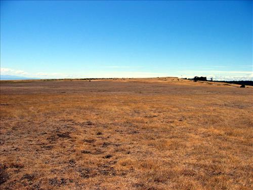American Camp prairie