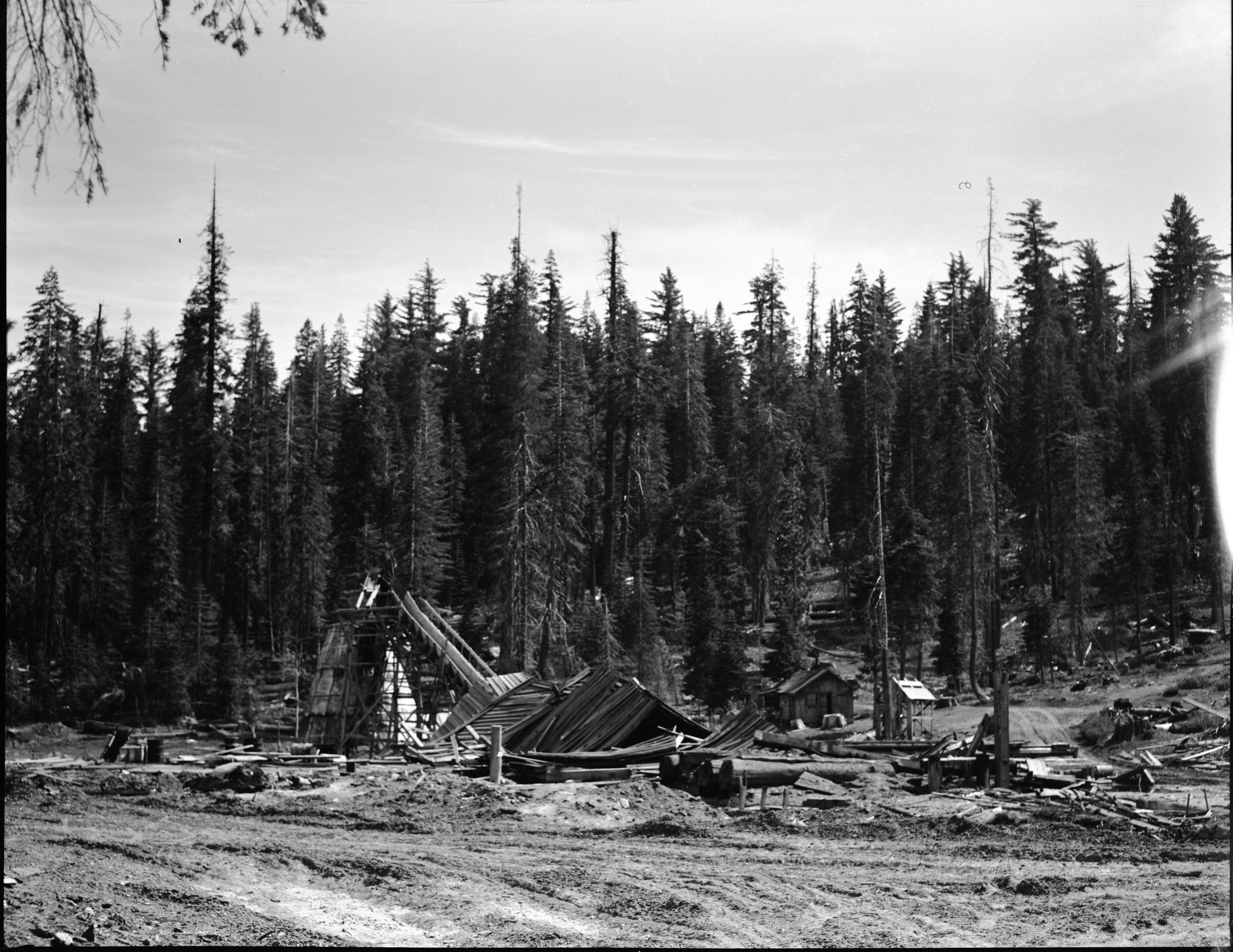 Mill Site - Looking West. Yosemite National Park, Aspen Valley.