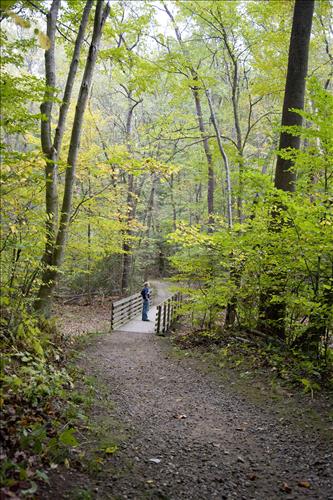 Fall hiker on Boston Run Trail