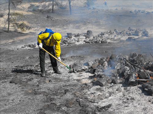Dune and Prairie Warbler Habitat Restoration at Sleeping Bear Dunes NL from September 2010-October 2011