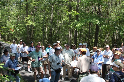 “The Battle of Glendale”