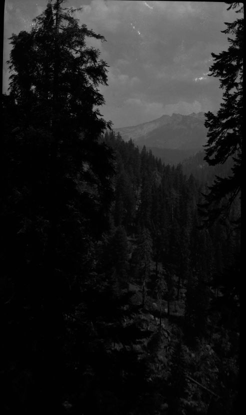 SEKI Roberts Collection Series: 2 Negatives; 12 Scenics