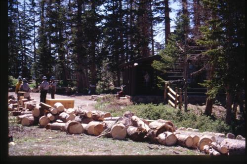 NPS Fire Use Modules Perform Emergency            Fuel Reduction Treatments at Cedar Breaks National Monument, June 2002