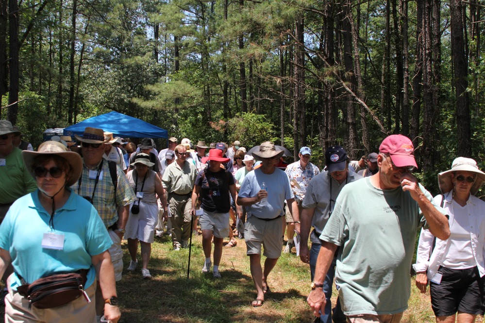“The Battle of Glendale”