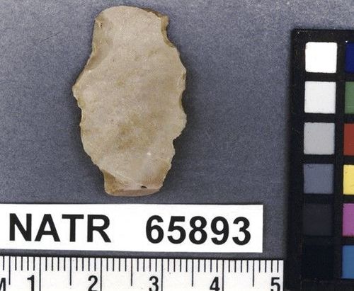 NATR   65893 -- Untyped projectile point