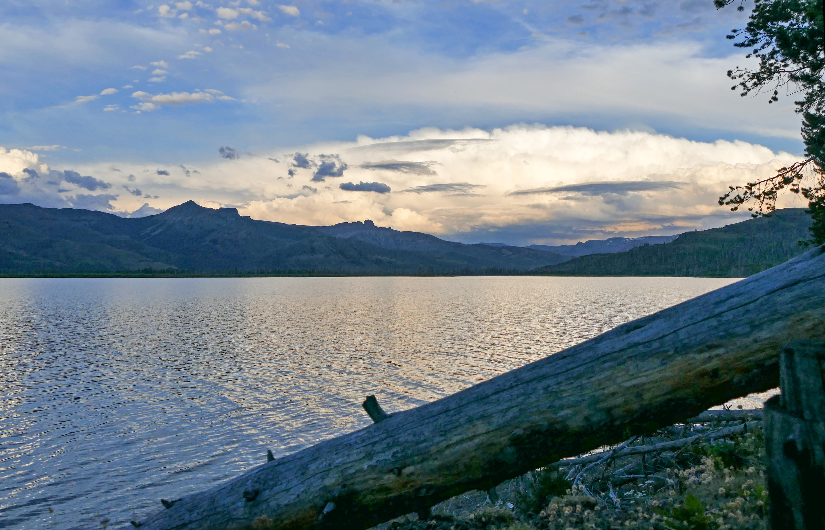 Look across the calm water of a lake at a thick layer of clouds.