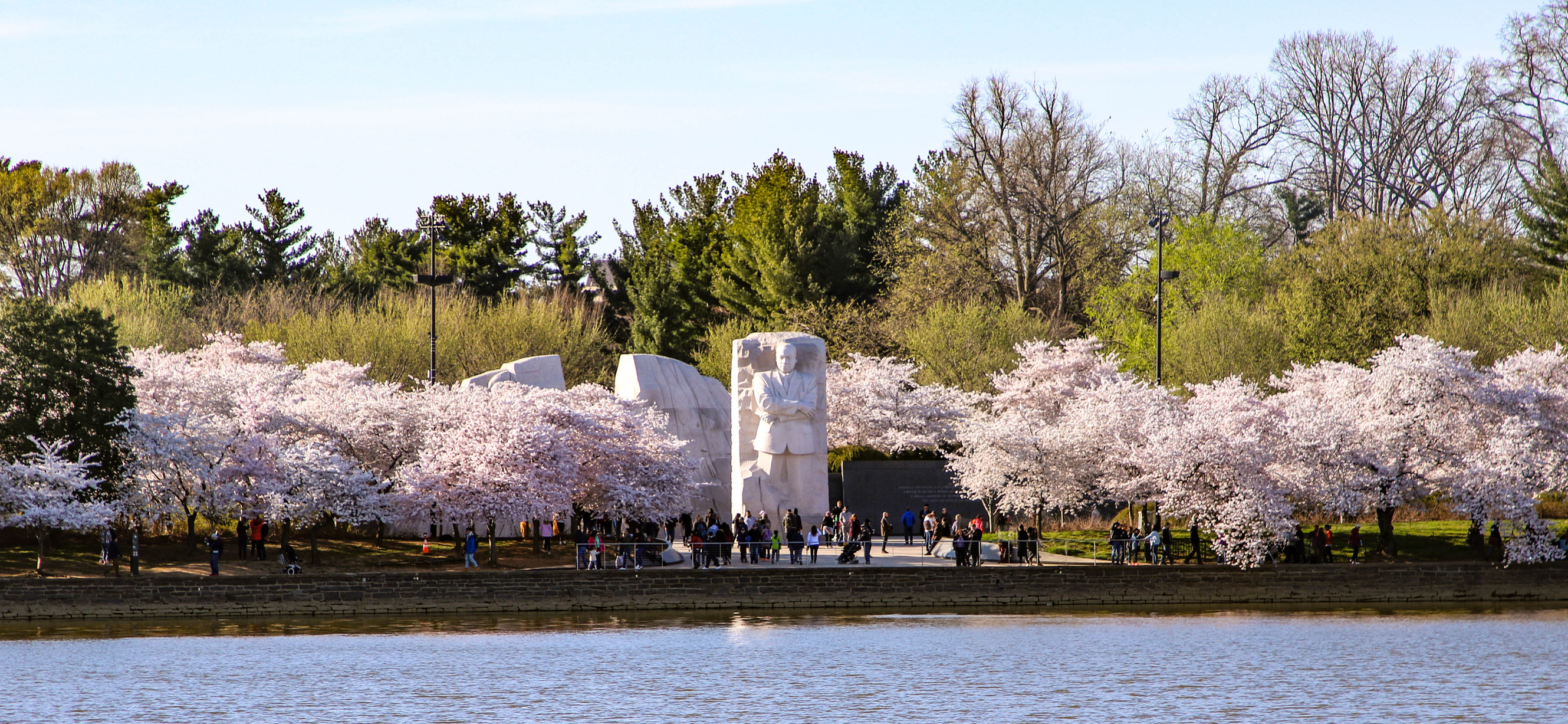 Martin Luther King, Jr. Memorial while cherry blossoms are in bloom