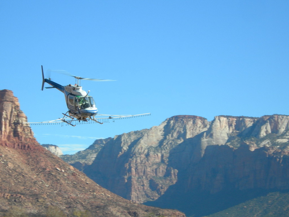 helicopter distributed herbicide in Zion National Park