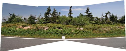 Acadia NP Historic Motor Road Vista 62 thru SLR1 Images September 2013