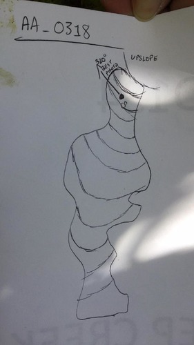 GRSM Accuracy Assessment. Plot Code: GRSM_AA_0318_map