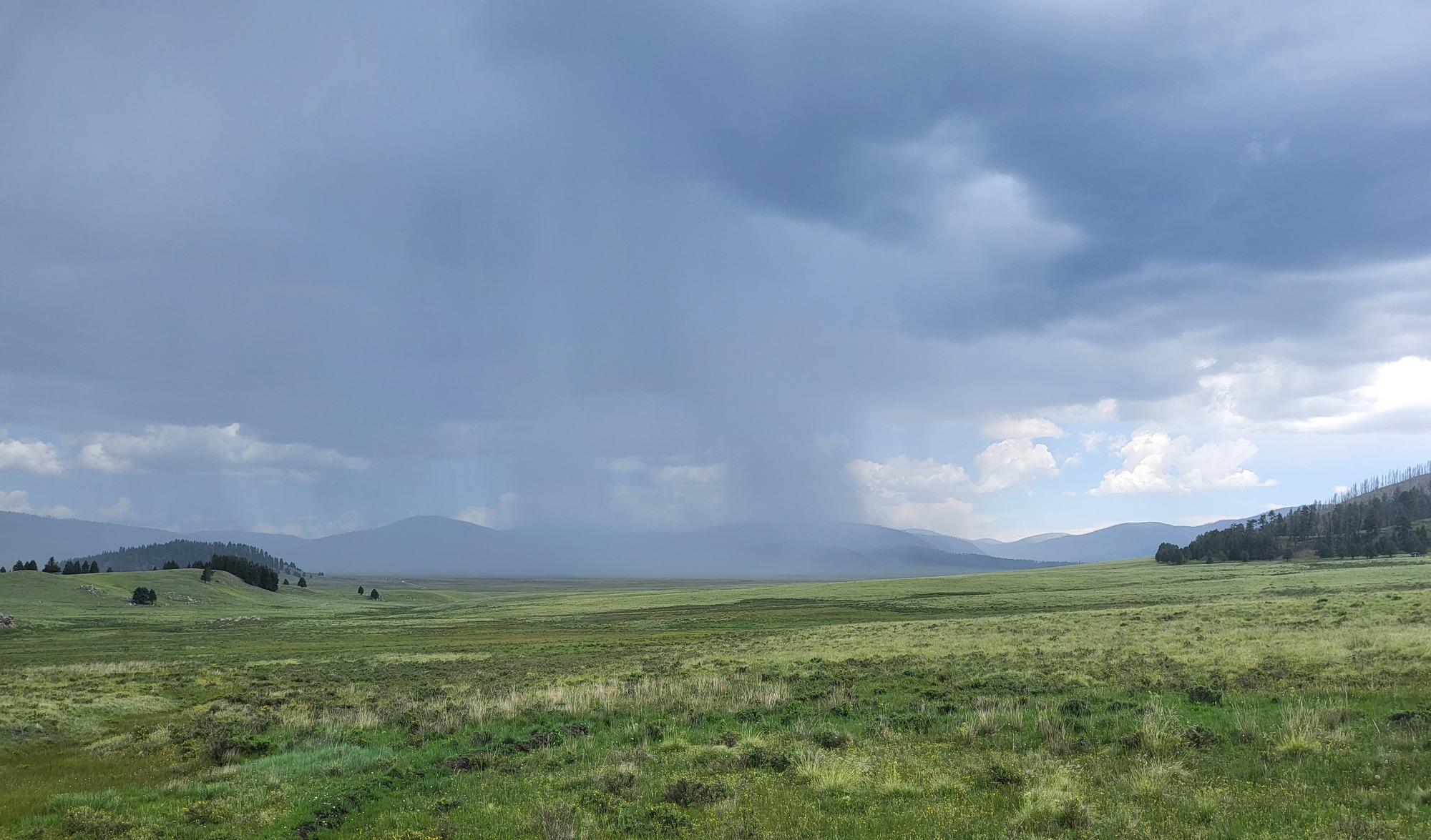 A monsoon shower sweeps over a vast grassland