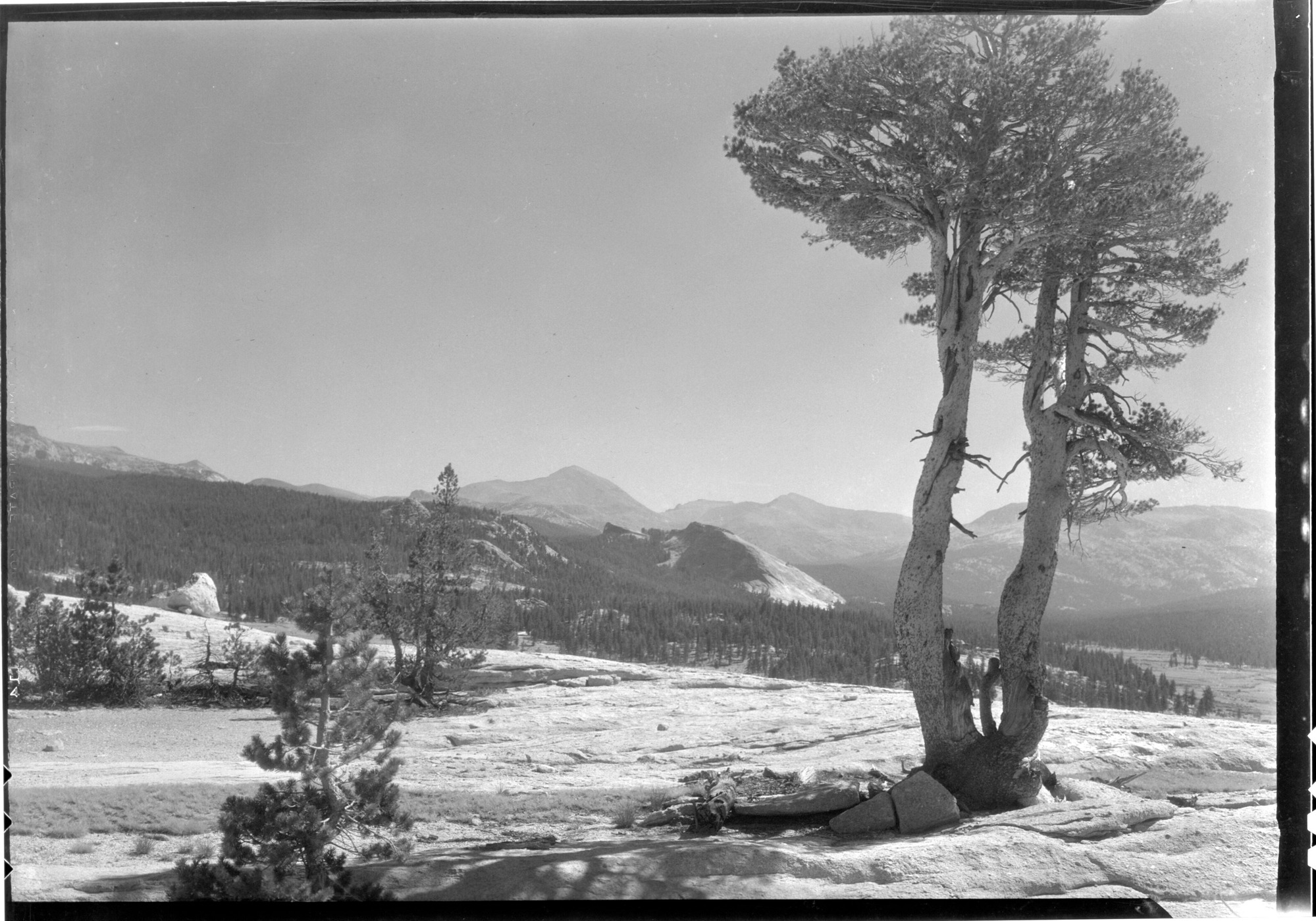 Tioga Pass from Tuolumne Meadows