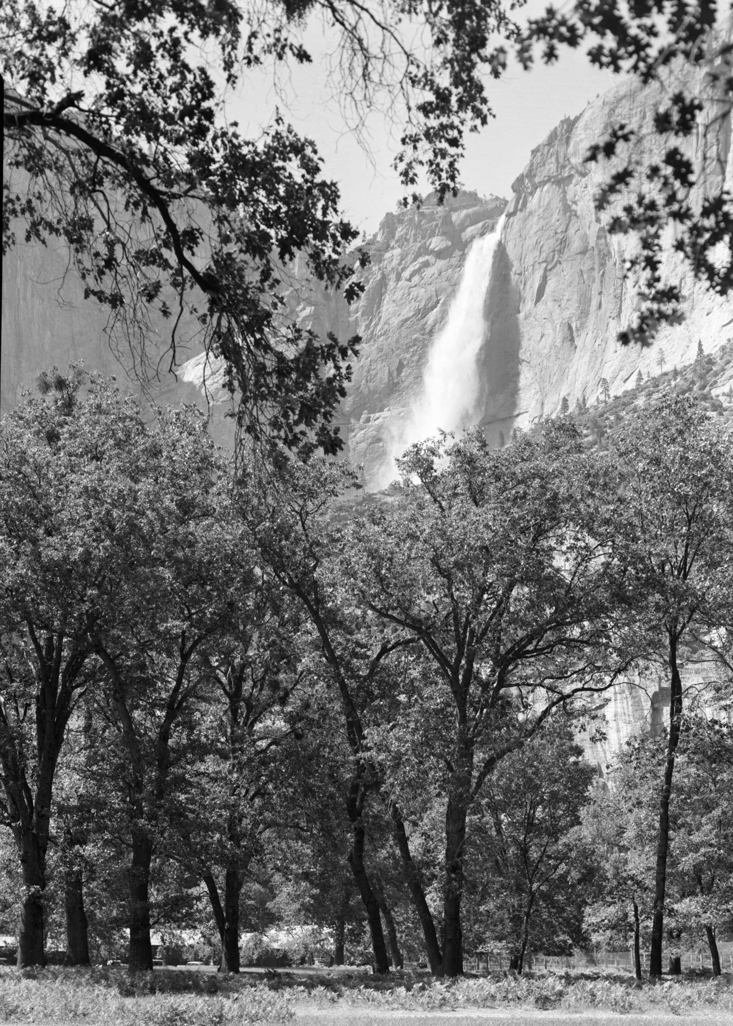 Upper fall through oak trees.