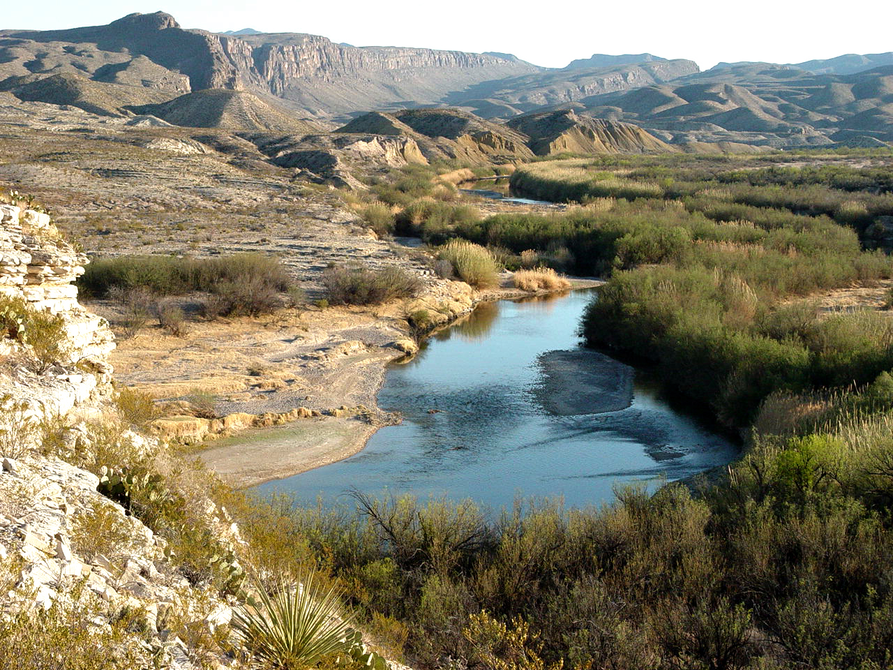 Desert meets river