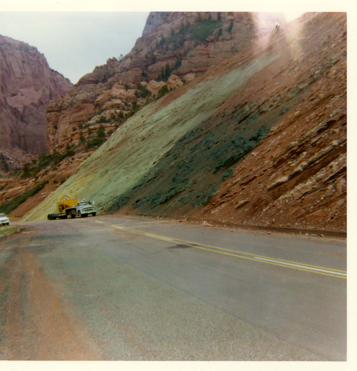 Color photo of the hydroseeding experiment along the Kolob Canyon Road.