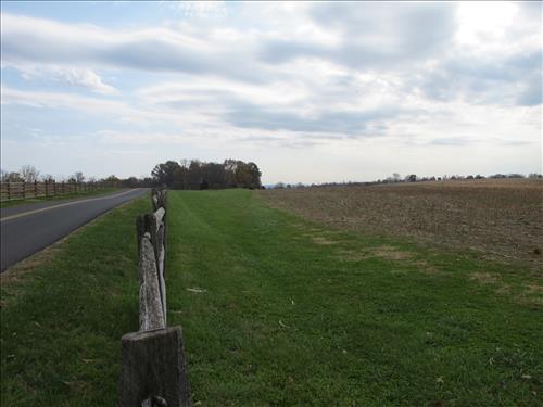 Remove encroaching vegetation from fence at Antietam NB Sharpsburg MD.