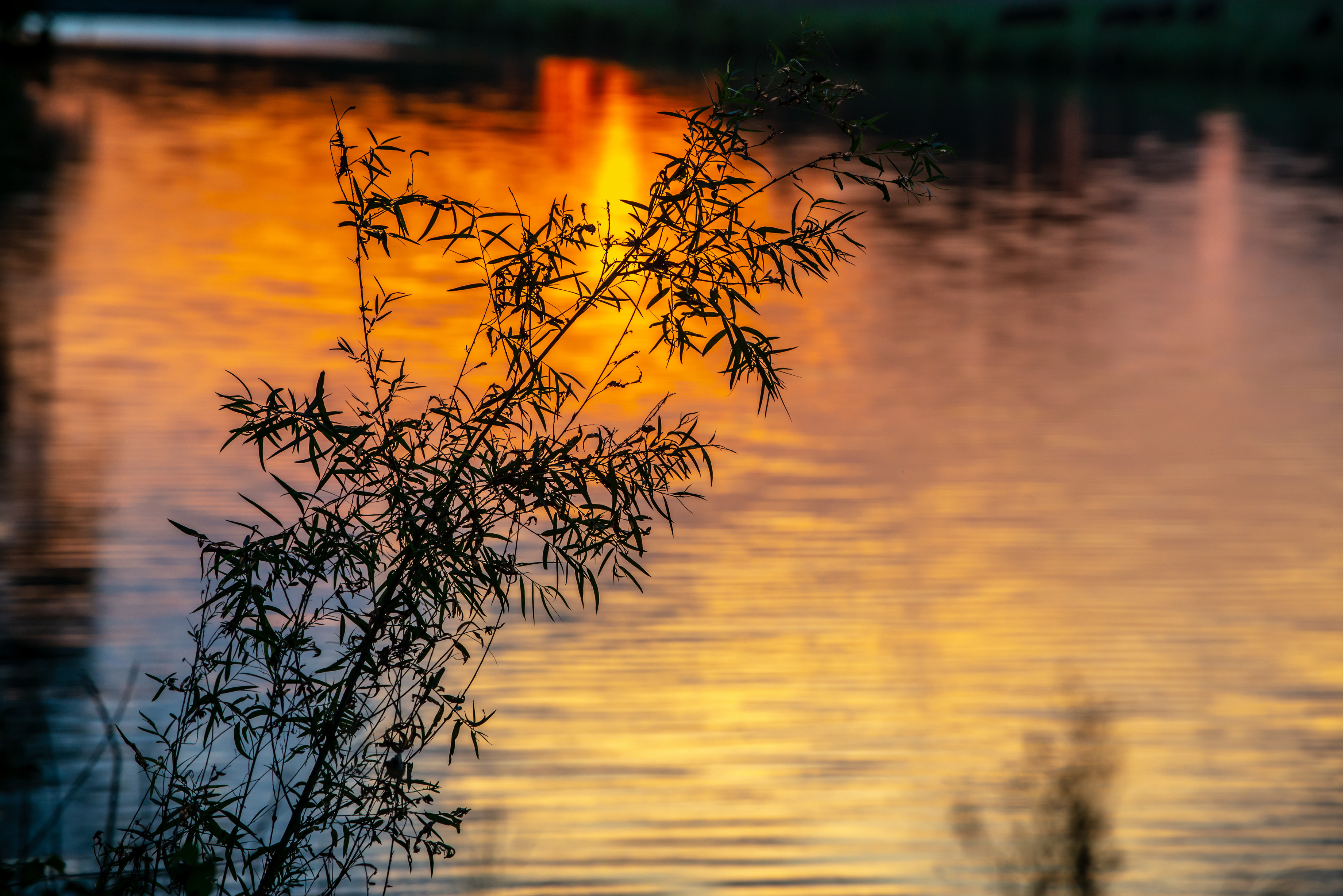 Orange sunset reflected in the Pedernales River.
