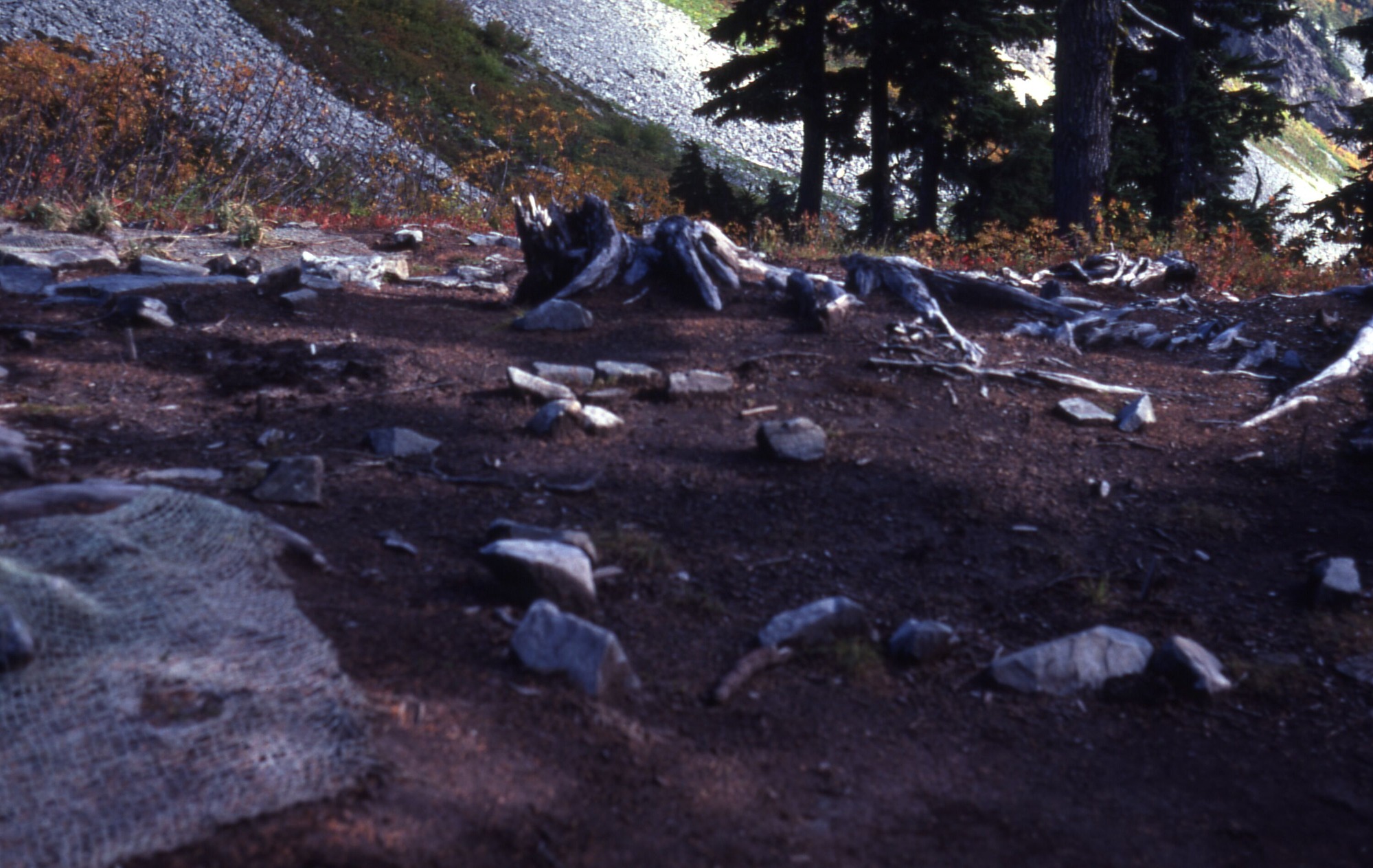 A clearing with a large dirt patch studded with rocks and fallen logs. In the left corner of the image is some netting. In the background is a forested area. In the distance are mountainsides.