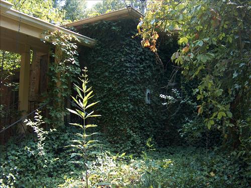 Collins-Yardum House at Chattahoochee River National Recreation Area in August 2006
