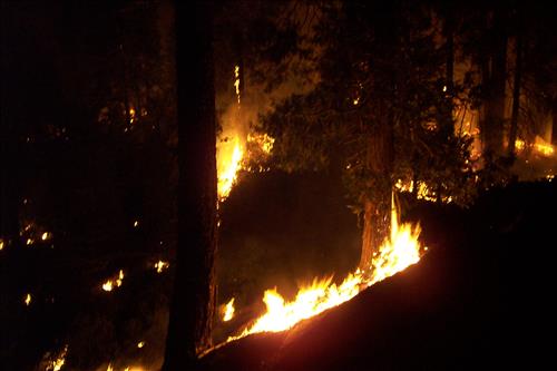 Sunset prescribed burn in Grant Grove, Sequoia and Kings Canyon National Parks, fall 2002