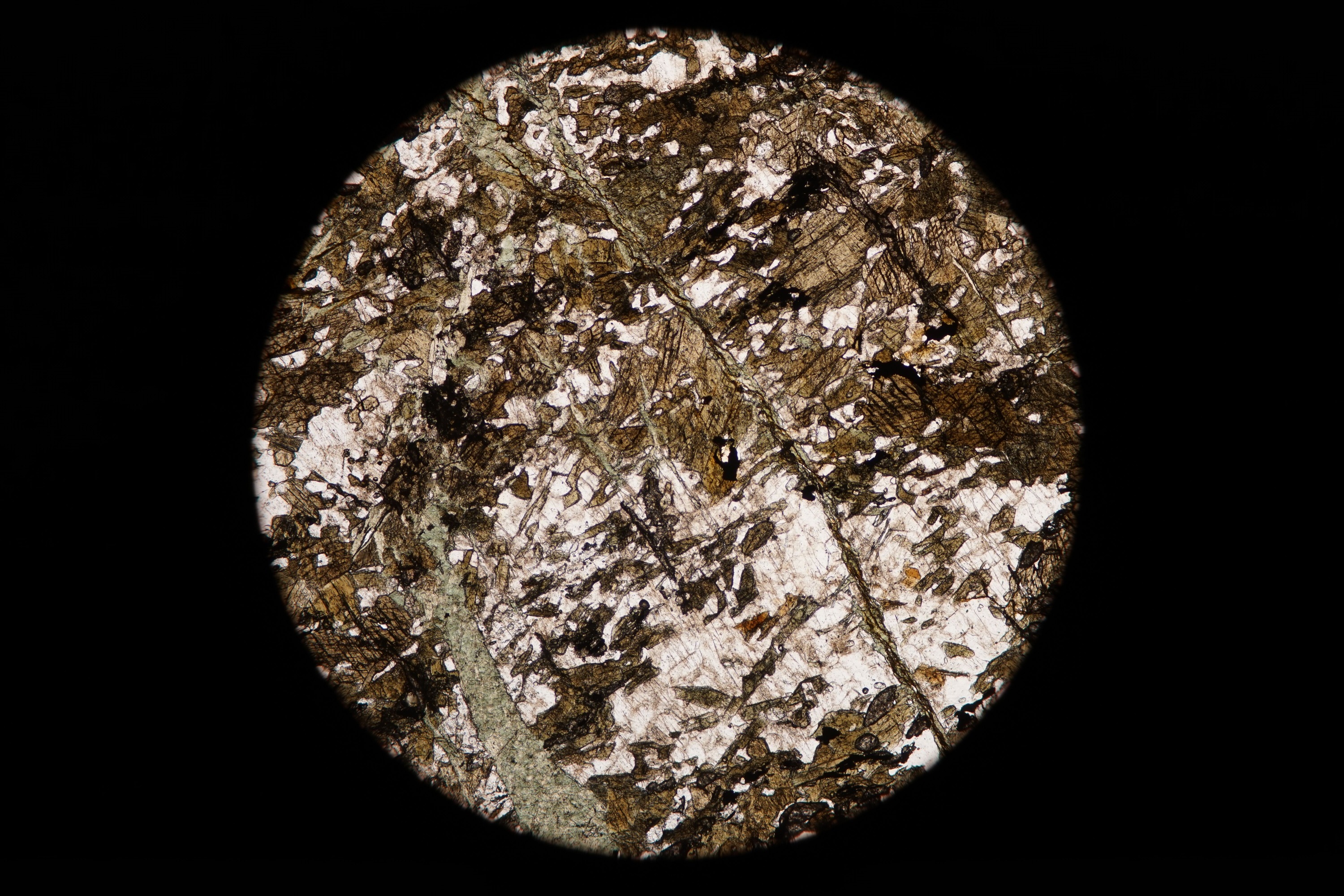 Circular microscopic image of rock structure.